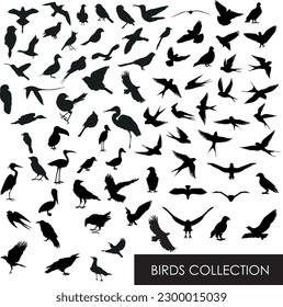 Birds shape collection. silhouettes of birds. set of birds. Bird Silhouettes 