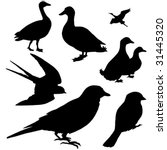 birds silhouette