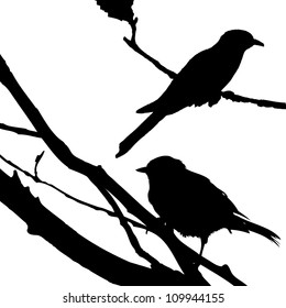 Birds Silhouette