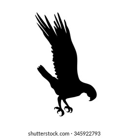 Bird's Silhouette.