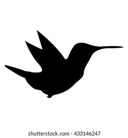 Bird's Silhouette