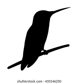 Bird's Silhouette