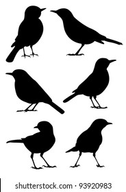 Birds Silhouette - 6 different vector illustrations