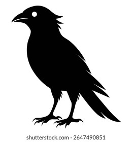 Birds Silhouette Art for T-shirt and Poster Designs .