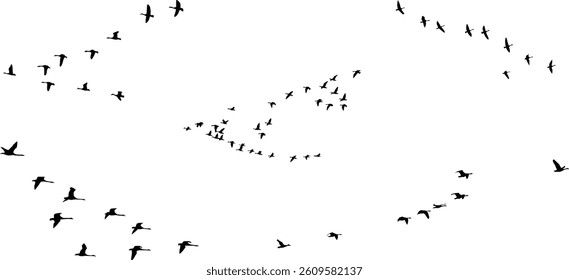 birds silhouette between meals icon