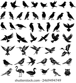 Pájaros Silueta Negro Blanco Vector Eps