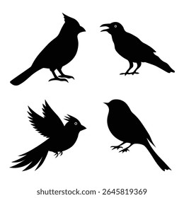  Birds silhouette bundle vector set. Silhouette of flying birds on white background. Vector graphics,  detailed bird shapes, minimalist design, nature clipart. Vector illustration. 