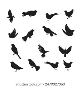 Birds Silhouette Collection: High-Quality Vector Illustrations for Design.