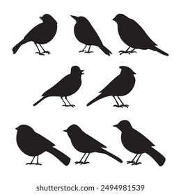 birds of silhouette color vector art illustration