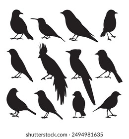 birds of silhouette color vector art illustration