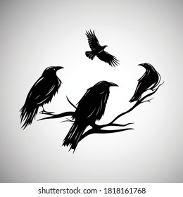 Birds Silhouette - crows sitting on a dry trees