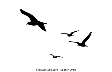 Birds silhouette Flat design vector