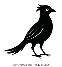 Birds Silhouette Icon Pack – PNG and Vector Files