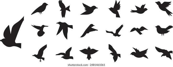 Birds silhouette icons Set fill styles vectors, black humming bird. Nature symbols, flying illustration signs. Bird logo and wing, airplane template wildlife design isolated on transparent background.