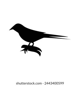 Birds Silhouette illustration Clip Art Vector File.