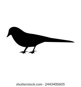 Birds Silhouette illustration Clip Art Vector File.