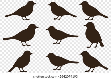  birds silhouette isolated on transparent clear background. Cute various simple contour birds songbird collection.