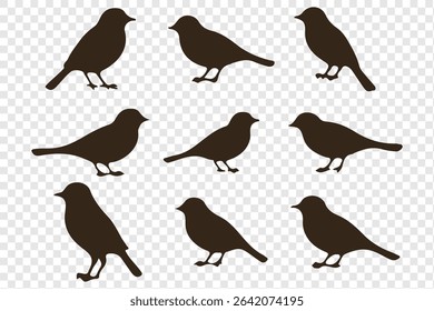  birds silhouette isolated on transparent clear background. Cute various simple contour birds songbird collection.