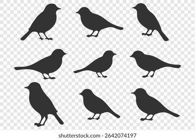  birds silhouette isolated on transparent clear background. Cute various simple contour birds songbird collection.