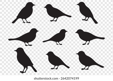  birds silhouette isolated on transparent clear background. Cute various simple contour birds songbird collection.