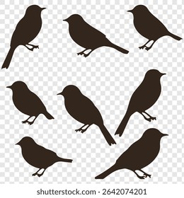  birds silhouette isolated on transparent clear background. Cute various simple contour birds songbird collection.
