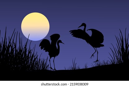 birds silhouette in moonlight nature background