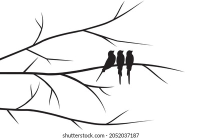 Birds Silhouette On Branch Vector Wall Stock Vector (Royalty Free ...