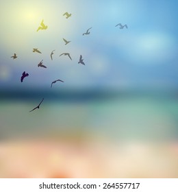 Birds silhouette on sunny sky and beach background. Vector