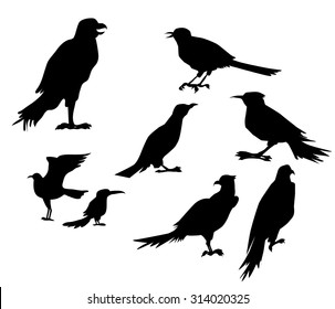 Juego de siluetas de pájaros