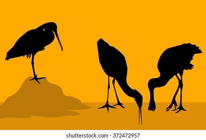 Birds Silhouette Set - Vector 