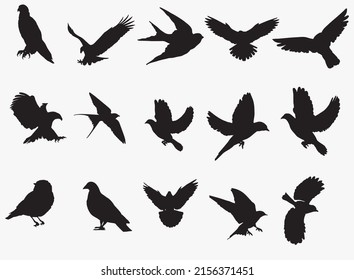 Birds Silhouette Set Vector Art, Icons, And Graphics Of Flying Birds Silhouettes Royalty Free Vector Image .eps