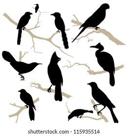 Birds silhouette set vector. Bird on branch. Bird icon collection. Isolated on white background.