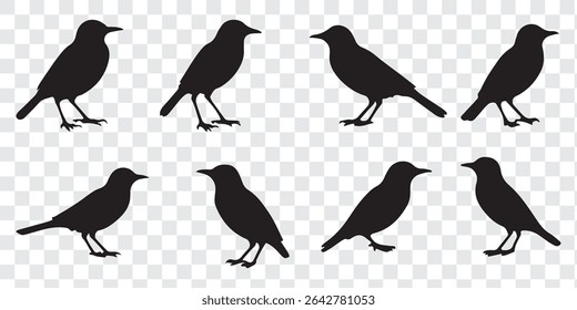 Birds silhouette set vector design. Different birds vector silhouette. Eps 10