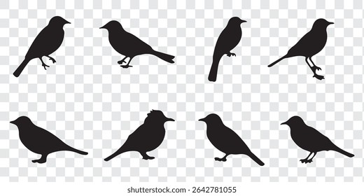 Birds silhouette set vector design. Different birds vector silhouette. Eps 10