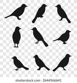 Birds silhouette set vector illustration isolated on white background