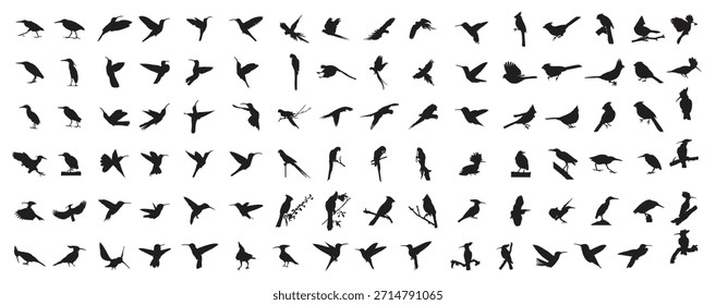 birds silhouette set vector illustration
