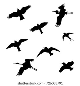 Birds silhouette set. Vector illustration.