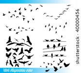 birds silhouette sets