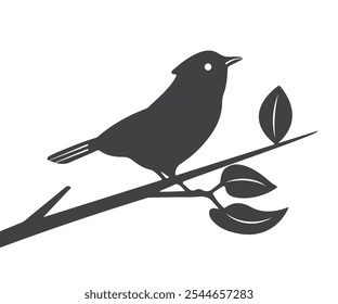 Aves Silhueta ou árvore Silhueta vetor