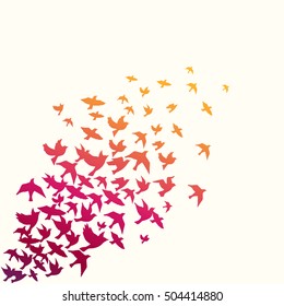 Fondo vectorial de silueta de aves