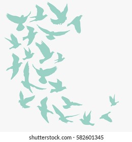 Birds silhouette vector background