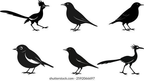 Birds Silhouette Vector Icon Collection Bundle, Flying And Perched Bird Designs,
