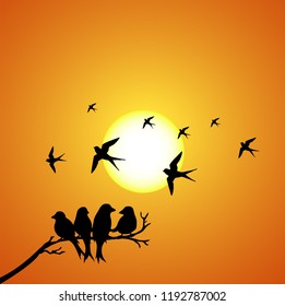 Birds silhouette. Vector Illustration.