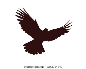 Birds Silhouette Vector. Birds Vector Illustration.