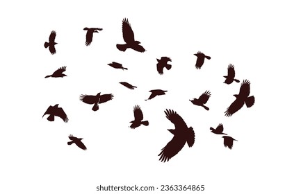 Birds Silhouette Vector. Birds Vector Illustration.