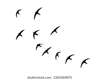Birds Silhouette Vector. Birds Vector Illustration.