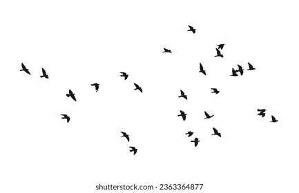 Birds Silhouette Vector. Birds Vector Illustration.