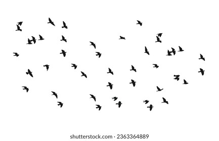 Birds Silhouette Vector. Birds Vector Illustration.