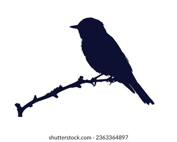 Birds Silhouette Vector. Birds Vector Illustration.