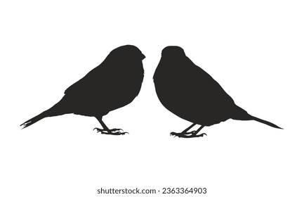 Vector de silueta de aves. Ilustración del vector de aves.